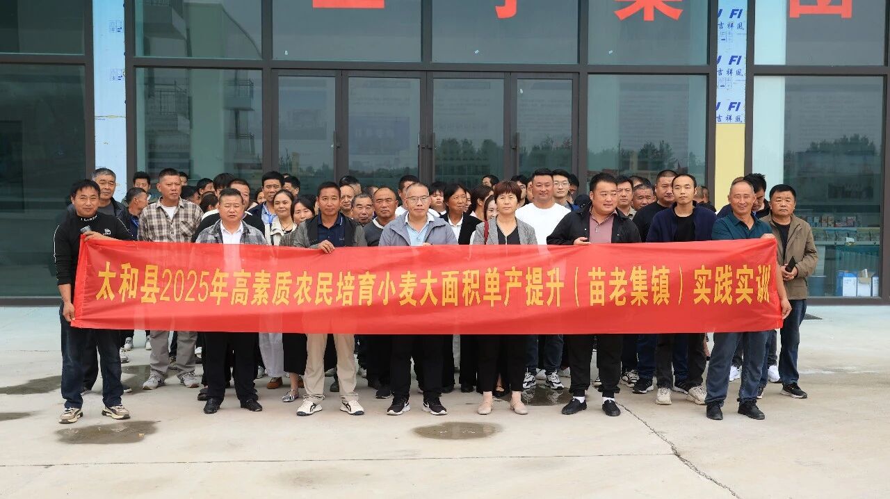 快訊！太和縣2025年高素質(zhì)...